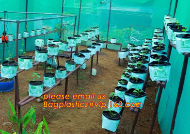 cultivating bags, 100% biodegradable various Wholesale Poly Black Square Garden Plastic Baby Flower Plant Nursery Poly B