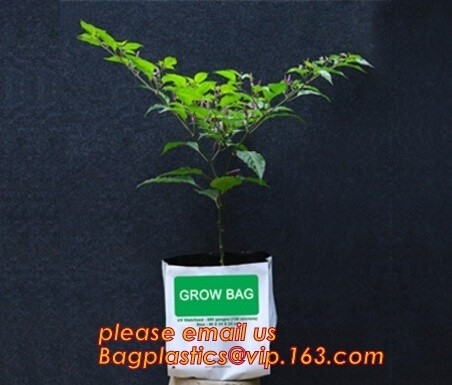 cultivating bags, 100% biodegradable various Wholesale Poly Black Square Garden Plastic Baby Flower Plant Nursery Poly B