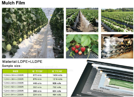 Mulch film,plant protect sleeve film w/hole,air-breath mulch film,silver,black, green,mulch film, pull-off hole,ldpe+lld