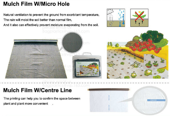 Perorated weed barrier,mulch film with hole,pe film with dots-servering line,tomato mulch film,plastic nail,fasten sheet