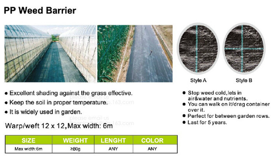 Perorated weed barrier,mulch film with hole,pe film with dots-servering line,tomato mulch film,plastic nail,fasten sheet