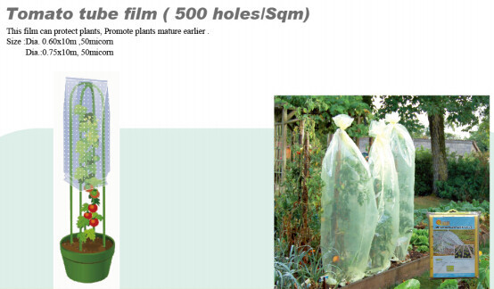 PP NONWOVEN FABRC, WINTER COVER,MICRO-PERFORATED FILM,TOMATO TUBE FILM,GREEN FILM,MULCH FILM,REFLECT FILM,BIODEGRADABLE