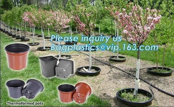 mini plastic nursery pots flower pots for herb seedling,cheap price black plastic nursery pots flexible soft pot, seedli