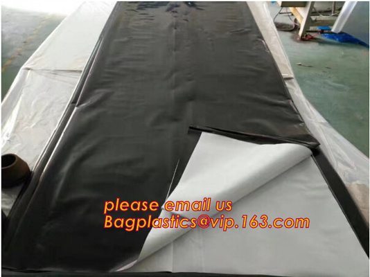 Polyethylene Commercial Tunnel Greenhouse Film for Tomato Planting 200micron,Tomato Growth Plant Tomato Film,film coveri