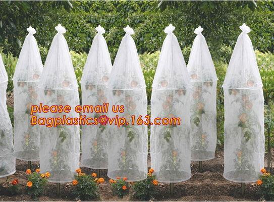 Garden used tomato plastic film cover,high light transmittance solar control seeding nursery greenhouse covers,100% virg