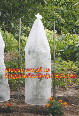 Garden used tomato plastic film cover,high light transmittance solar control seeding nursery greenhouse covers,100% virg