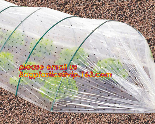 high light transmittance solar control seeding nursery greenhouse covers,100% virgin LDPE protective single layer cucumb