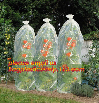 PP Non Woven Fabric Fruit Tomato Banana Bunch Cover Garden Plant Protection Cover For Winter,Eco-friendly Household Non