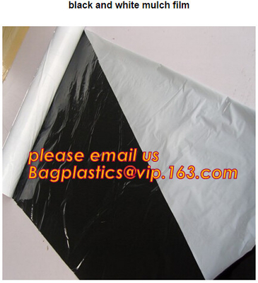 Perforated Black Agricultural Mulch Film for Weed Control Membrane,Pre-stretch Perforated UV Resistant Agriculture Film