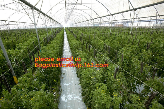 cheap and durable plastic colored anti mosquito netting/window insect screen,Industrial Agricultural Greenhouses use 2m