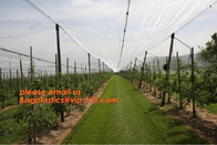 30 mesh anti insect farm nets for greenhouse,100% pe transparent color greenhouse anti insect net for plant, agriculture