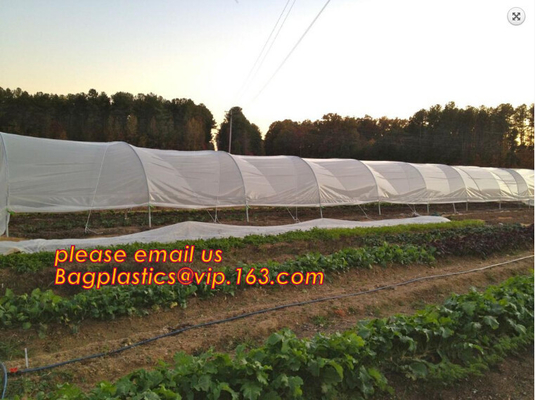 30 mesh anti insect farm nets for greenhouse,100% pe transparent color greenhouse anti insect net for plant, agriculture