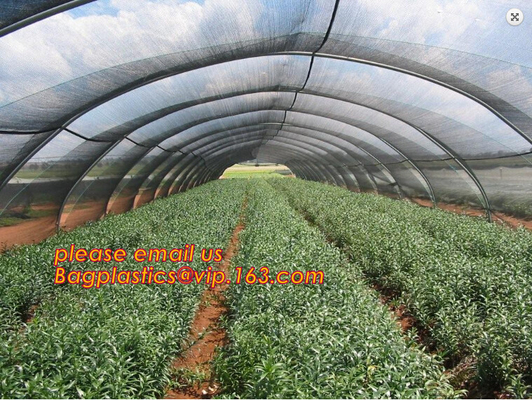 30 mesh anti insect farm nets for greenhouse,100% pe transparent color greenhouse anti insect net for plant, agriculture