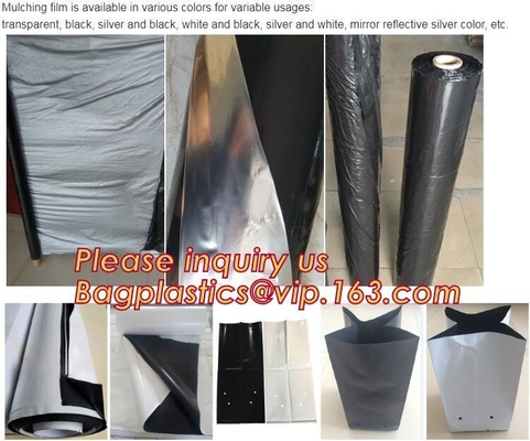 agricultural black film special weeding black film,agricultural plastic greenhouse film,Insulation membrane Mulching Fil