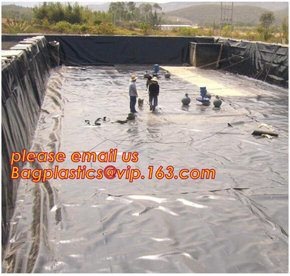 2.0mm geomembrane for landfill Hdpe geomembrane landfill geomembrane,hdpe geomembrane price/gse hdpe geomembrane BAGEASE