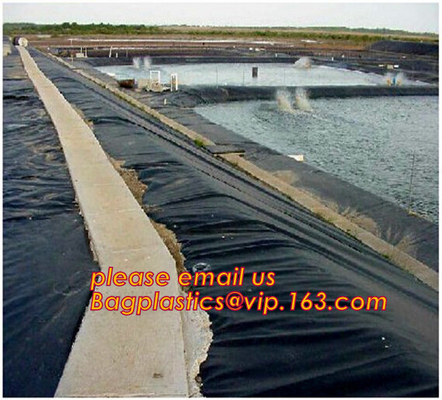 2.0mm geomembrane for landfill Hdpe geomembrane landfill geomembrane,hdpe geomembrane price/gse hdpe geomembrane BAGEASE