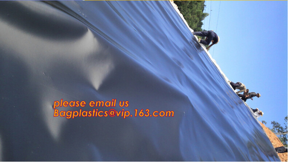 eco-friendly hdpe geomembrane liner geomembrane price,eco-friendly hdpe geomembrane liner waterproofing membranes BAGEAS