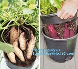 Green Gardening Biodegradable Recycling Bags Seeding Nursery Pots