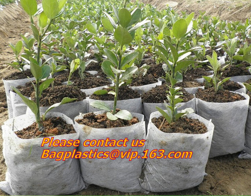 Potato Grow Biodegradable Garden Bags Vegetable Patio Container Pp Fabric Leaf Waste