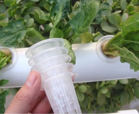 Greenhouse Net Pot Cup For Hydroponic Growing System Hydroponics Net Pots Mesh Cup and Foams