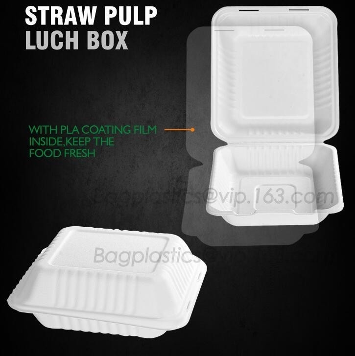 lunch box containers for restaurant, PLA Lunch Box with Lid For Kids, PLA Material Healthy Plastic Lunch Bento Box