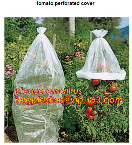Garden used tomato plastic film cover,high light transmittance solar control seeding nursery greenhouse covers,100% virg