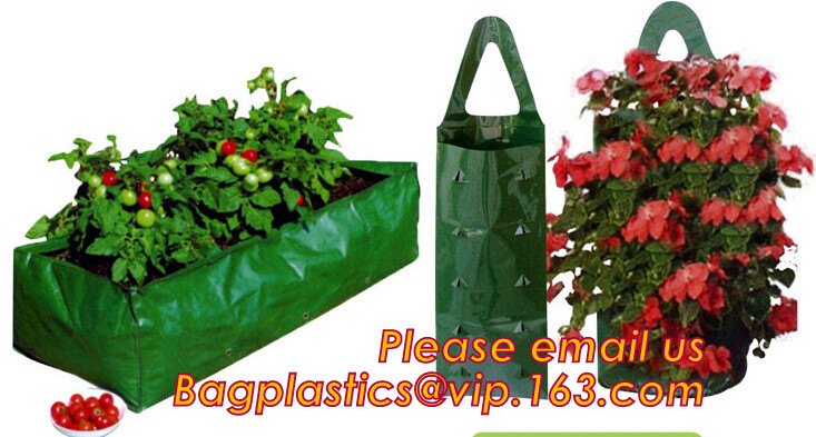 OEM Planter Biodegradable Garden Bags , Hanging Growing Strawberry Bags