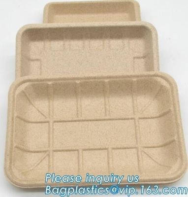 buy Dishes Plates Eco Friendly Dinnerware Blister Packaging Resturant Serving Tray online manufacturer