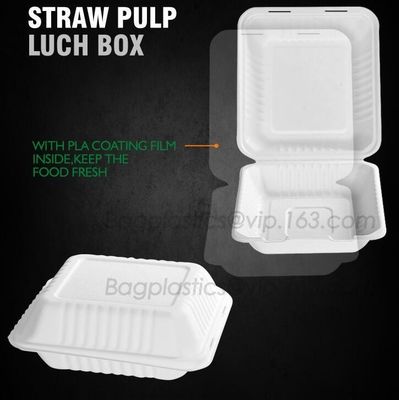 buy lunch box containers for restaurant, PLA Lunch Box with Lid For Kids, PLA Material Healthy Plastic Lunch Bento Box online manufacturer