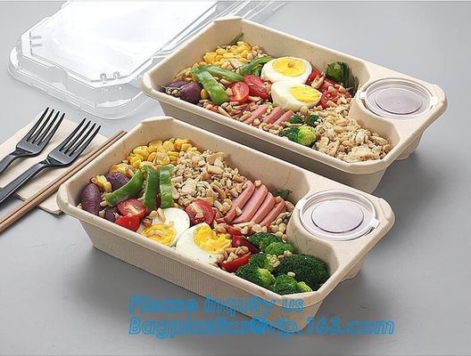 buy Biodegradable Microwave Bamboo Sugarcane Bagasse Food Container,Eco friendly disposable sugarcane food container with li online manufacturer