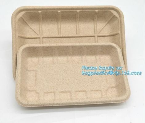 buy Biodegradable & Compostable 8 inchSquare sugarcane trays,sugarcane pulp compostable serving tray,lunch tray bagasse suga online manufacturer