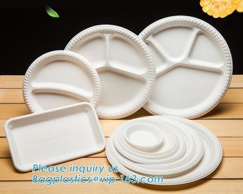 buy Biodegradable Disposable Sugarcane Bagasse Party Plate,Eco-friendly sugarcane bagasse paper plate/disposable compostable online manufacturer