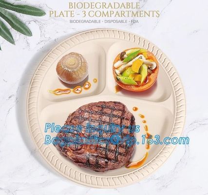 buy Eco Friendly Biodegradable Sugarcane Bagasse Plates Disposable,Sugarcane Bagasse Pulp Disposable Biodegradable Plate For online manufacturer