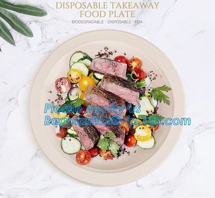 buy custom printed party plates disposable sugarcane bagasse plate Biodegradable Bamboo disposable paper plates bagease pack online manufacturer