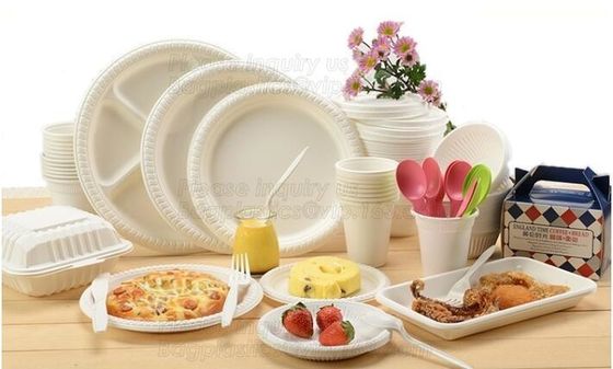 buy 100% Biodegradable Compostable Sugarcane Pulp Packaging Disposable Paper Plate online manufacturer